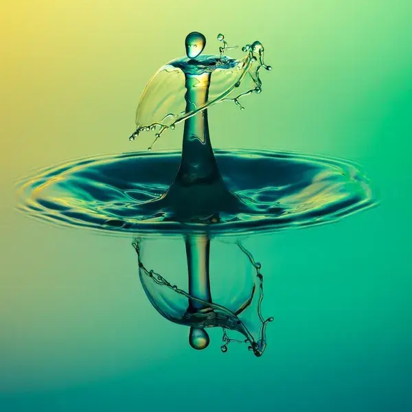 Greenville’s Most Underrated Traits