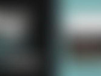 Craziest Stories from 2024