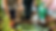 TLC-3.png