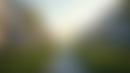 Daily Insights into Property Market Trends