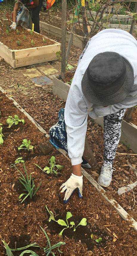 Community Service in Columbia Heights