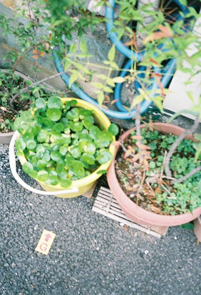 ©Eri Yamamoto