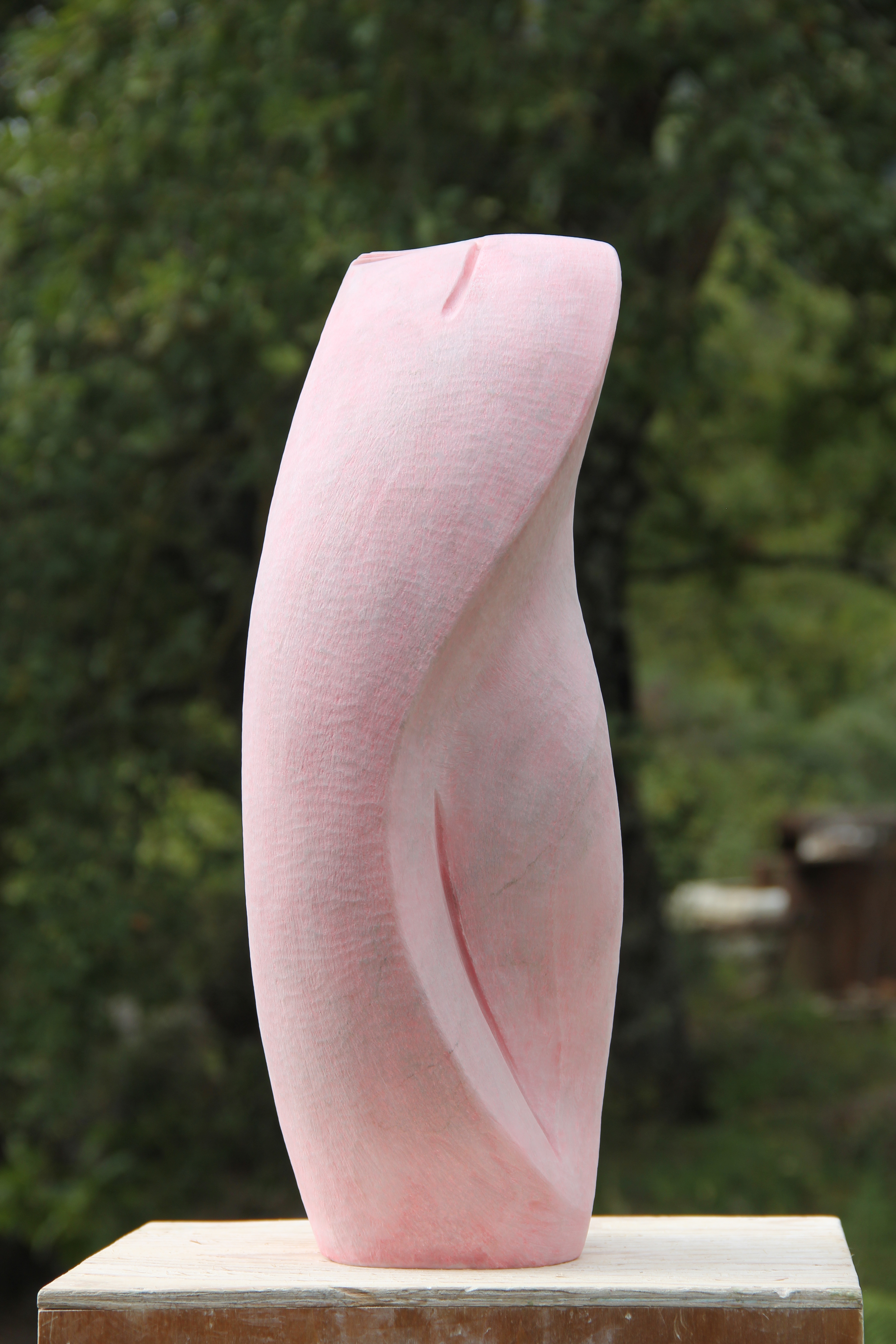 Donnarosa