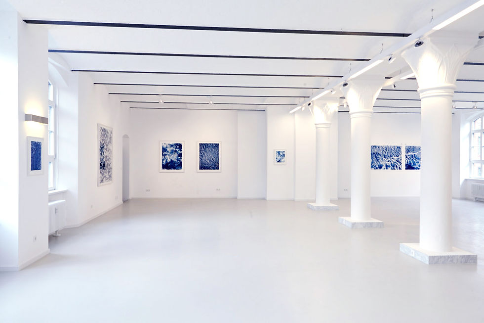 Waterscapes at Bumiller Museum for Islamic Art, Berlin 2015