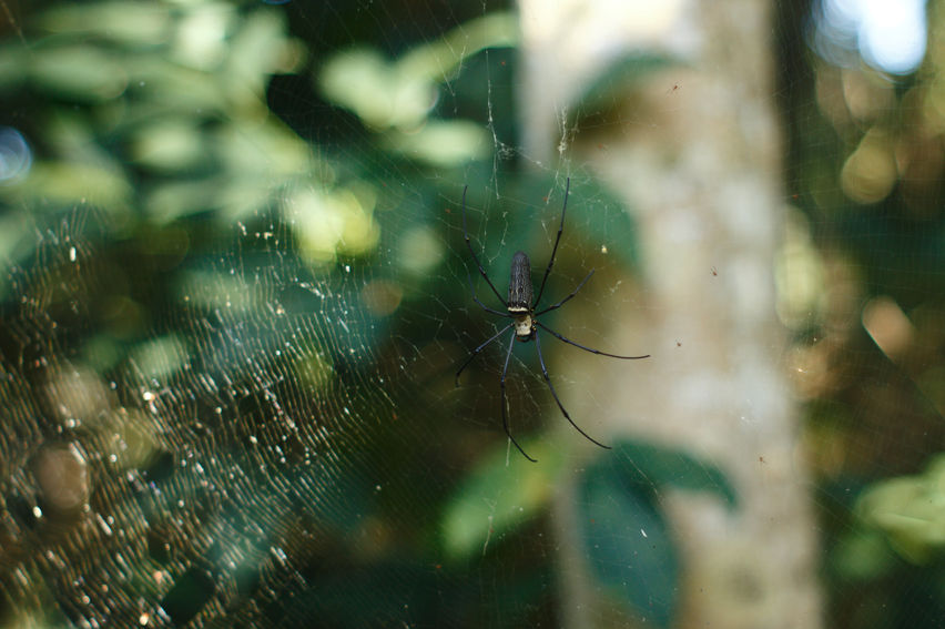 IMG_2151-01.jpeg