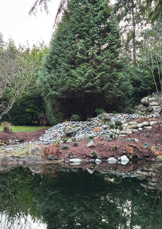 Waterfall Restoration