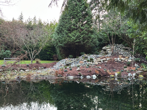 Waterfall Restoration