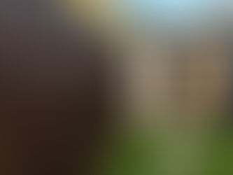 Created Using AI, photo will be replaced once renovations have completed.