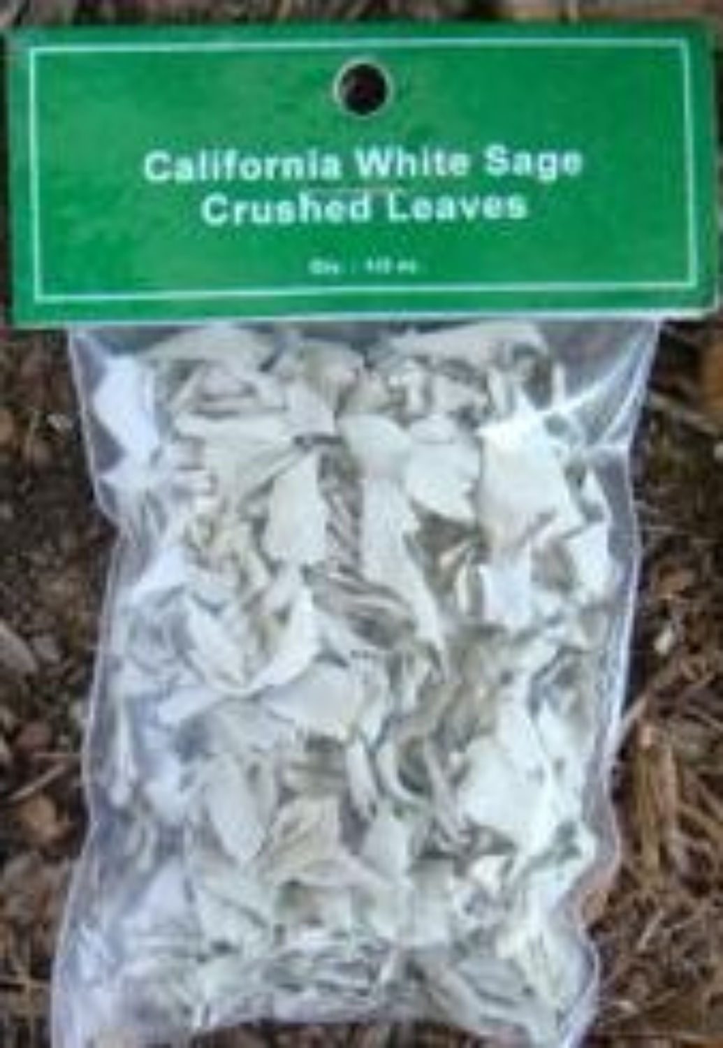 California White Sage