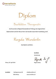 terrafloris diplom
