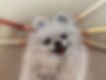 5801722940316_.pic.jpg