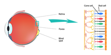 01-what-is-color.png