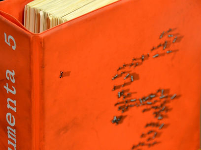 دُکومنتا و پایان آوانگارد