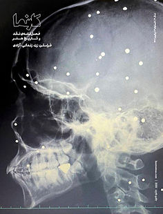 KN0603 Persian.jpg