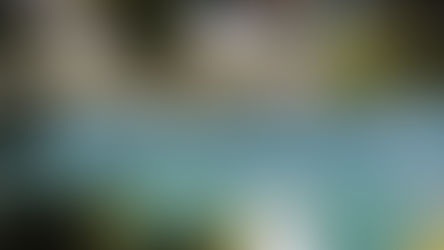 Your suburb’s 2021 property report card is in