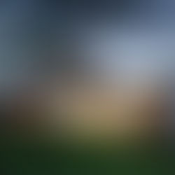 Why buyers are defying rate hikes and rising fuel prices