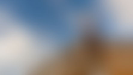 Where are tradies most in demand at the moment?