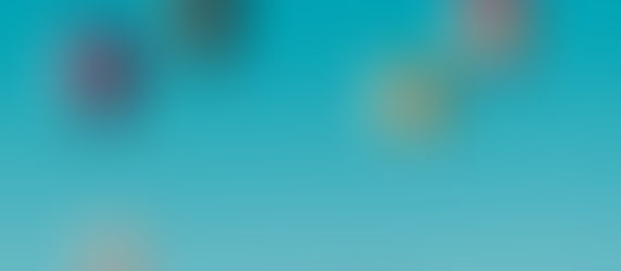 RBA lifts cash rate for the sixth month in a row to 2.60%