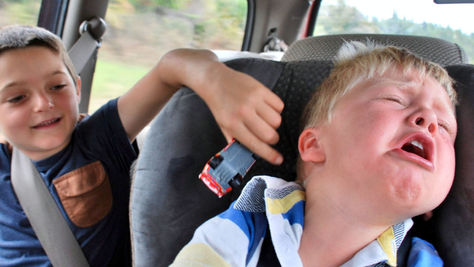 Are we there yet? RBA hikes cash rate for eighth straight month to 3.10%