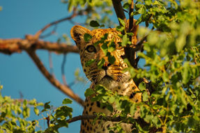 Sneaky rate hikes – is your lender behind them?