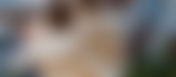 What you should know before buying ‘subject to finance’