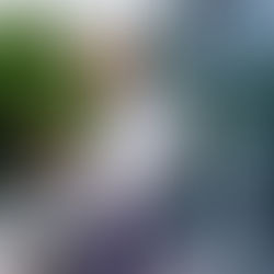 Why now may be the time to buy a rental property