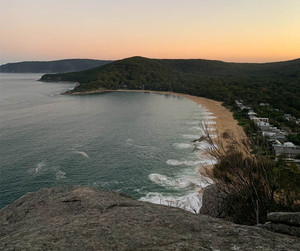 How did your suburb fare during the COVID-19 crisis?