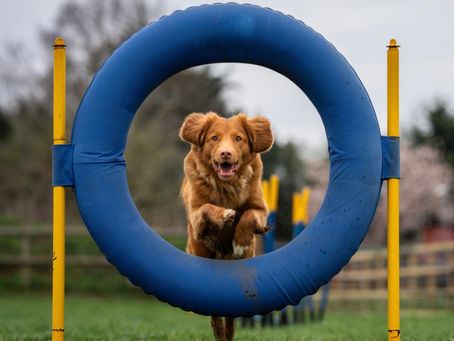 Mortgage serviceability: how to jump through the hoops