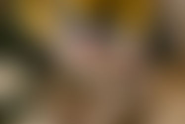 No Christmas rate cut – could rates rise in 2026?