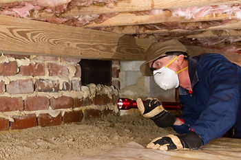 Building and pest inspection