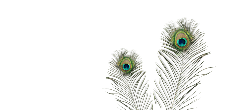 Mystic Peacock Banners-3-2_edited.png