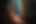 Forest1.png