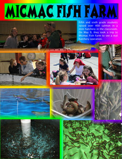 36 fish farm