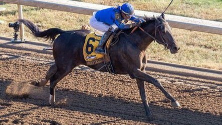 Max is Back, Maxfield returns at Fair Grounds