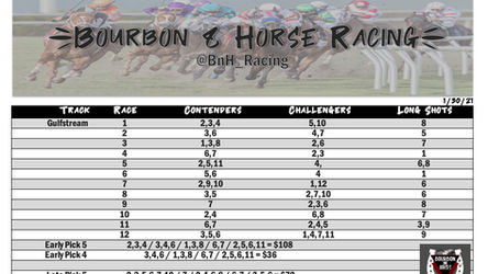 Holy Bull, Robert Lewis Stakes; Kentucky Derby Saturday Preps