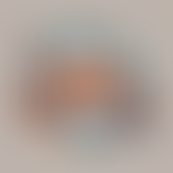 How PEP Stops HIV: A Scientific Breakdown