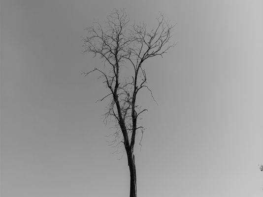 Terapi; kişinin iç dünyasını görünür kılarak içgörü ve dönüşüm sağlar.