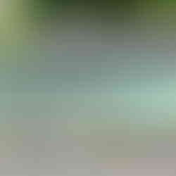 📷 Aug 2025 © The Dudley Women