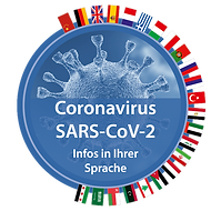 Button_EMZ_Corona-Fahnen (002).png
