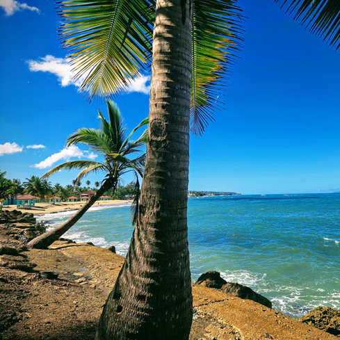 Tamarindo Beach Todo Playa Beach Gear Rentals 