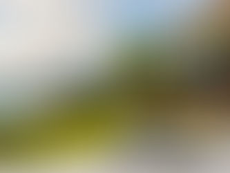 property maintenance services