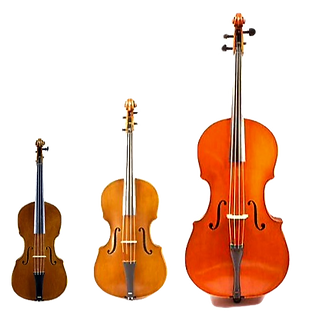 Violin Family_edited_edited.png
