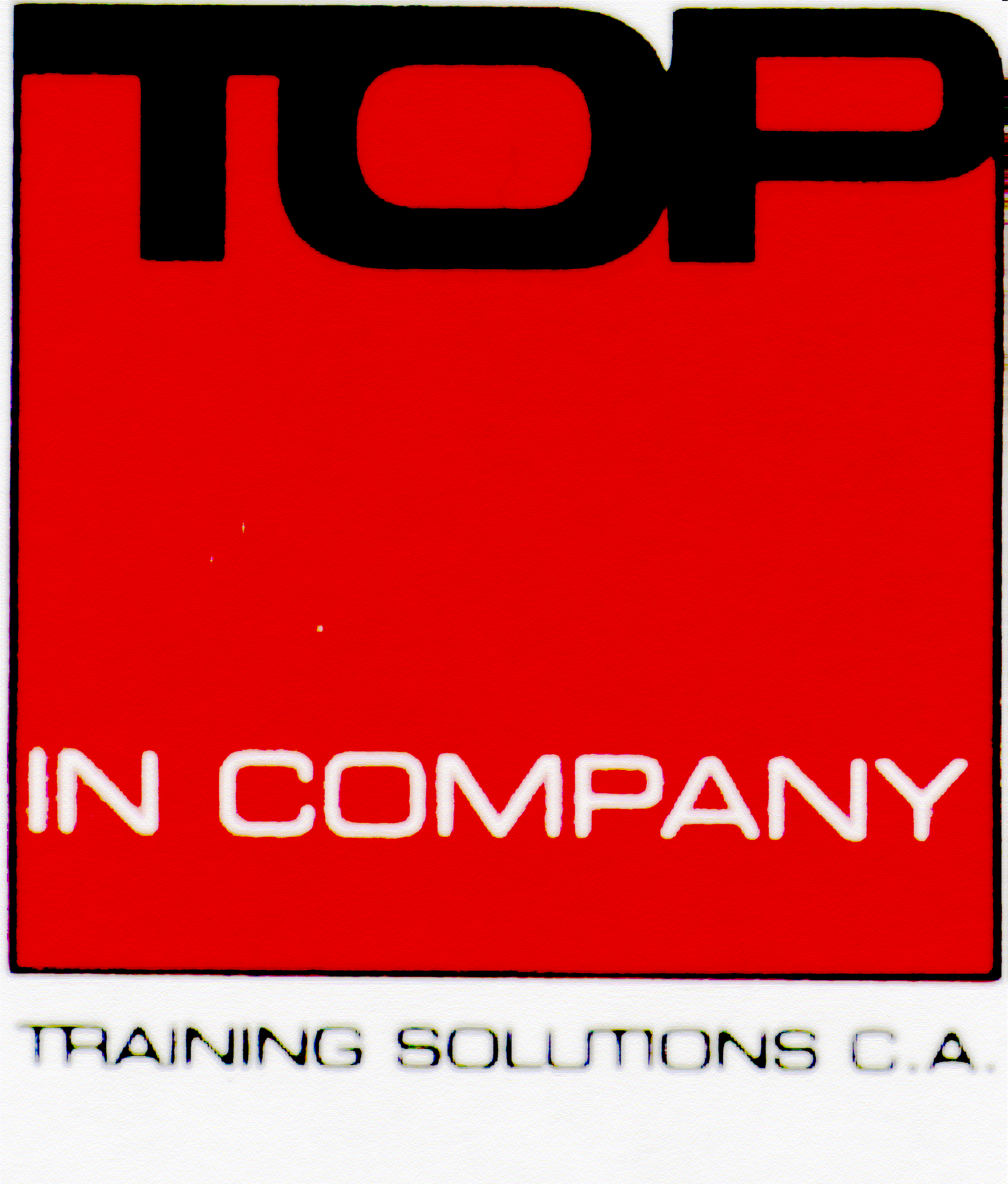 TOP LOGO.gif