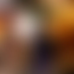 LAS GEISHAS Y SUS MISTERIOS