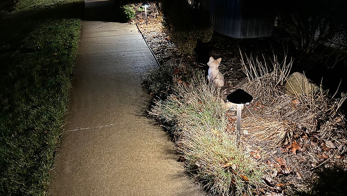 Pathway Lighting 