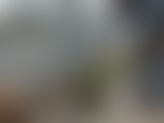 Como Fazer Manutenção na Concertina: Guia Seguro e Completo