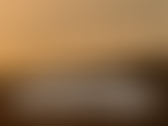 Concertina para Postos e Estabelecimentos Comerciais: Segurança e Economia