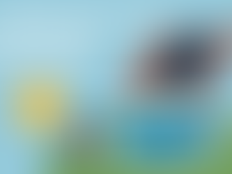 Aquecimento Solar de Piscina: Como Calcular o Sistema Ideal