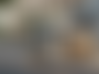 Guarda móveis em Higienópolis: a escolha certa para sua mudança