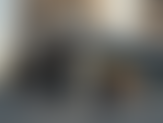 Como a Concertina Pode Evitar Roubos em Estabelecimentos Comerciais